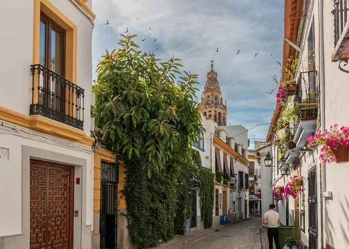 Luxury El Patio De La Juderia Daire