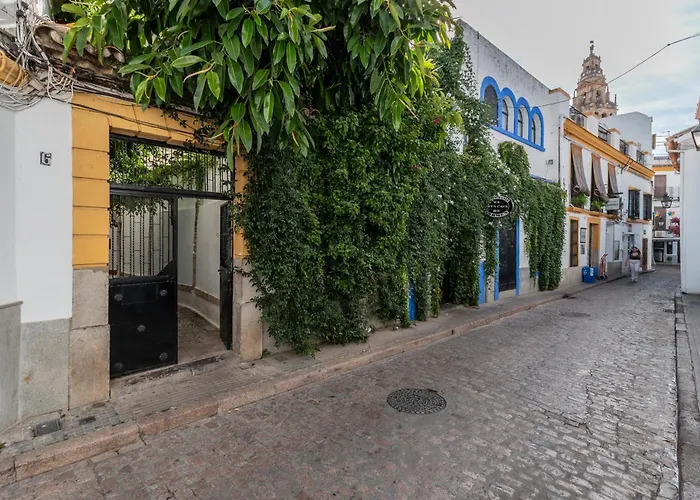 Daire Luxury El Patio De La Juderia *