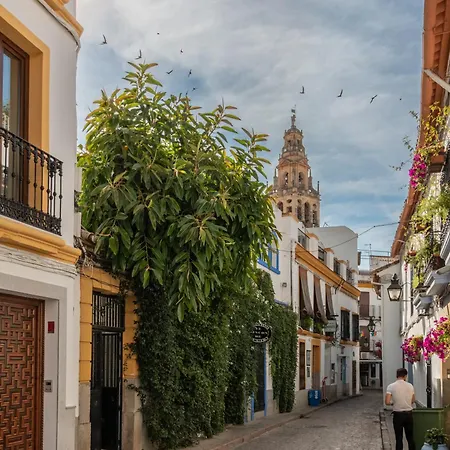 Luxury El Patio De La Juderia Lejlighed