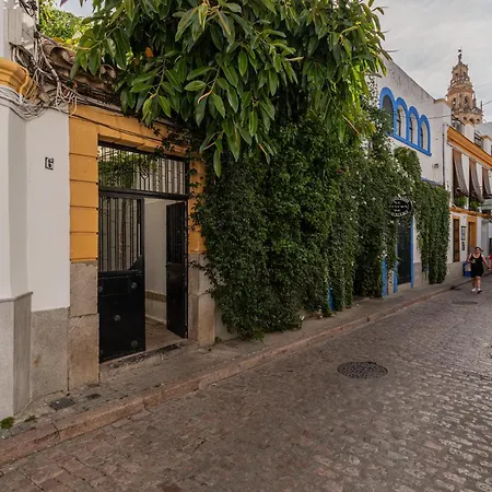 Luxury El Patio De La Juderia Daire *